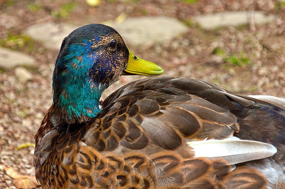 Photograph by Marina Weiland