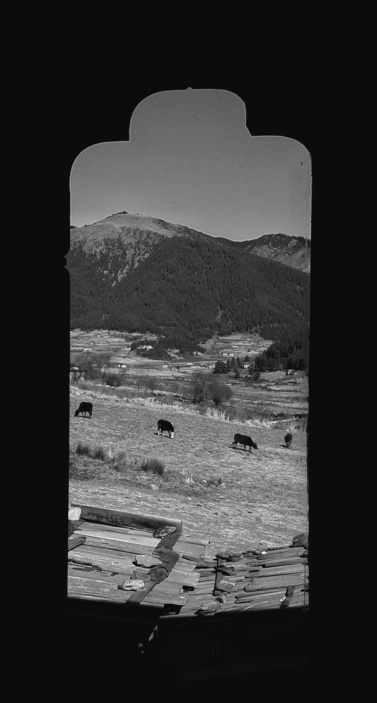 Photograph by Talha Muhtasim Syed