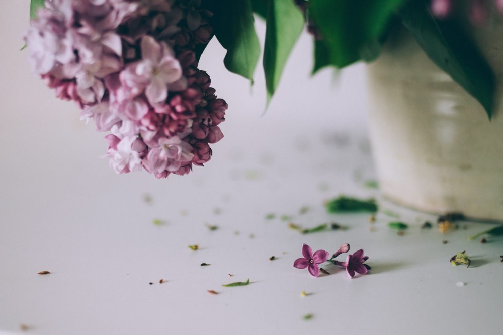 Photograph by Елена Демина