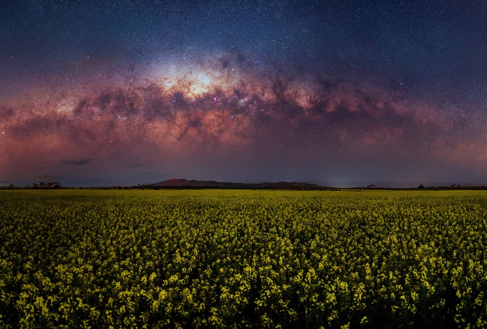 Photograph by Bryan Vu