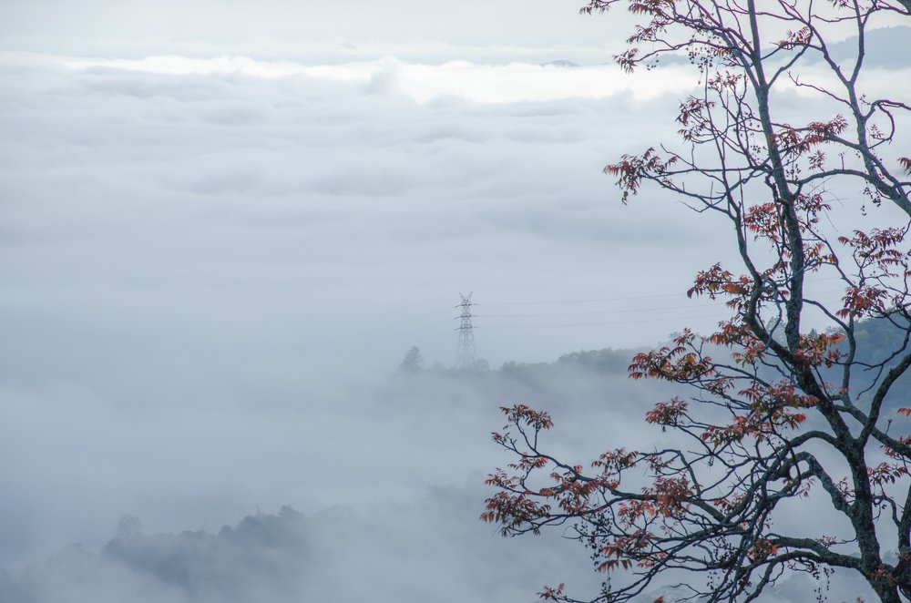 Photograph by Ridwan Read Ridwan