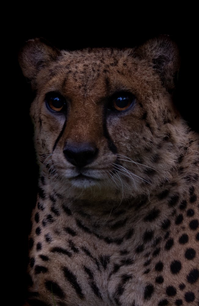 Photograph by Romi Haria