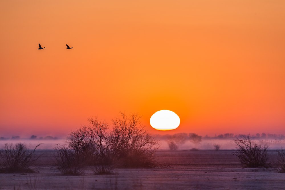 Photograph by Дмитрий Власов