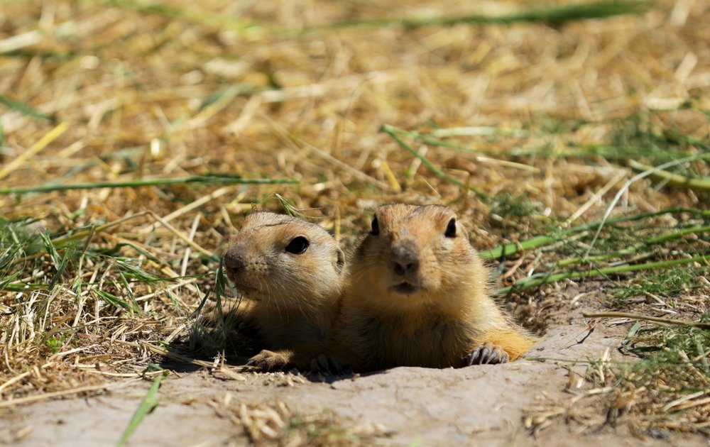 Photograph by Алтынбек Қартабай