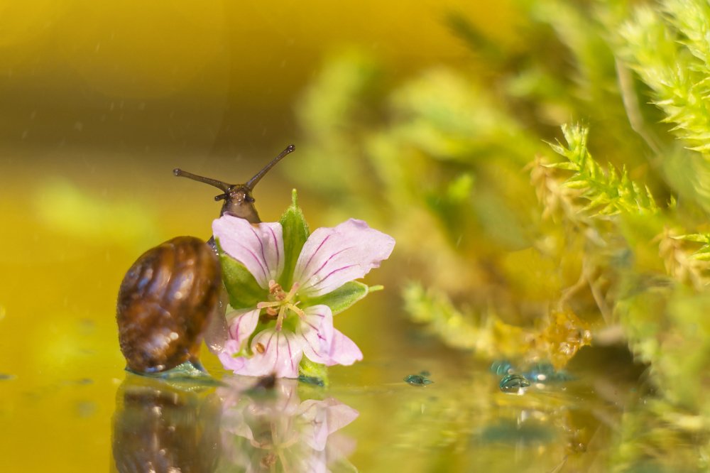 Кто не спрятался...