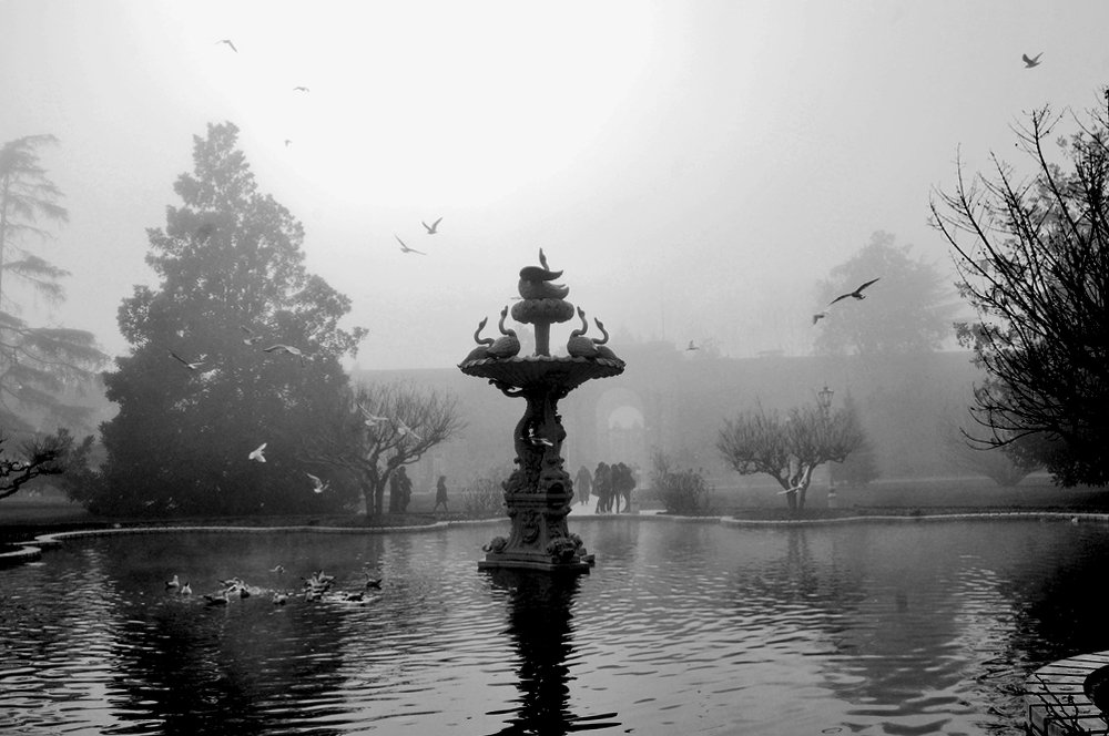 Photograph by Gordana Nikolovska-Dimeska