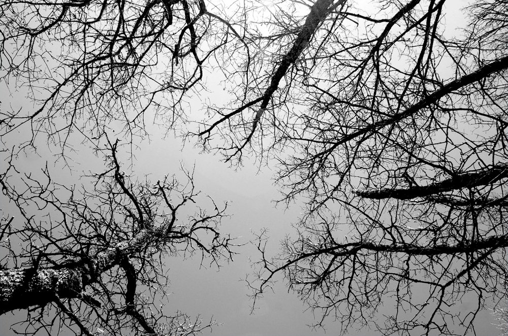 Photograph by Gordana Nikolovska-Dimeska