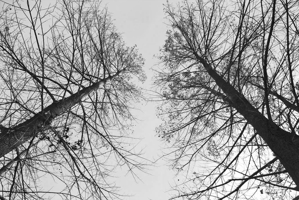 Photograph by Gordana Nikolovska-Dimeska