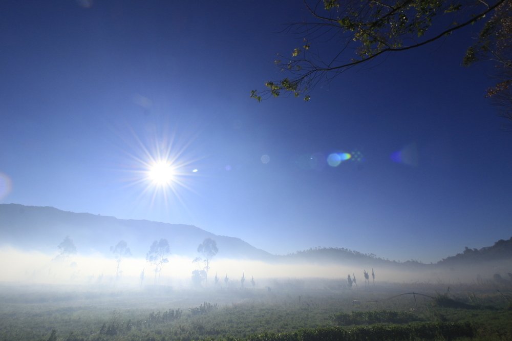 Photograph by Deden Maqsudi