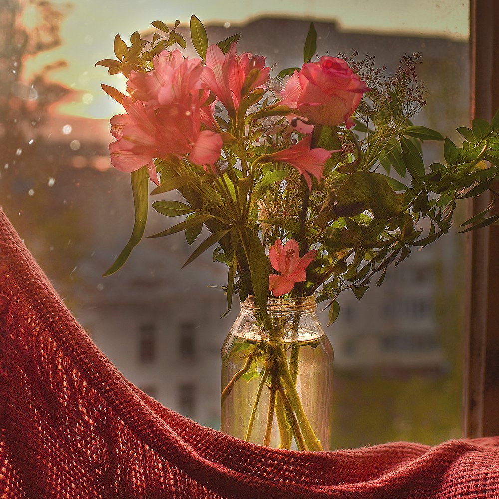 Фотография автора Светлана Лукьянова