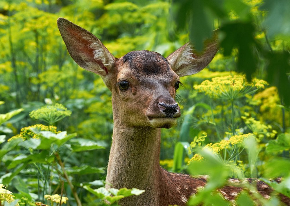 Photograph by Наталья Богач