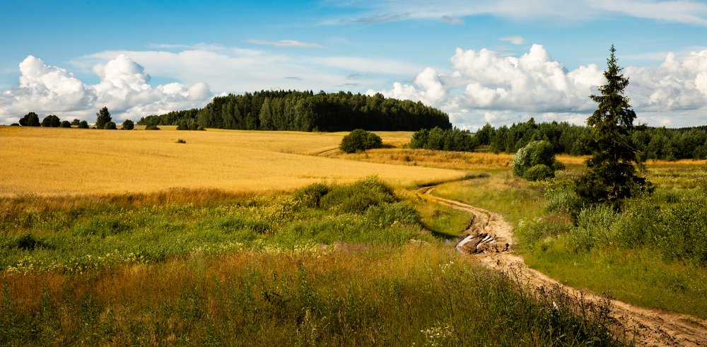 Photograph by Алексей Солоухин