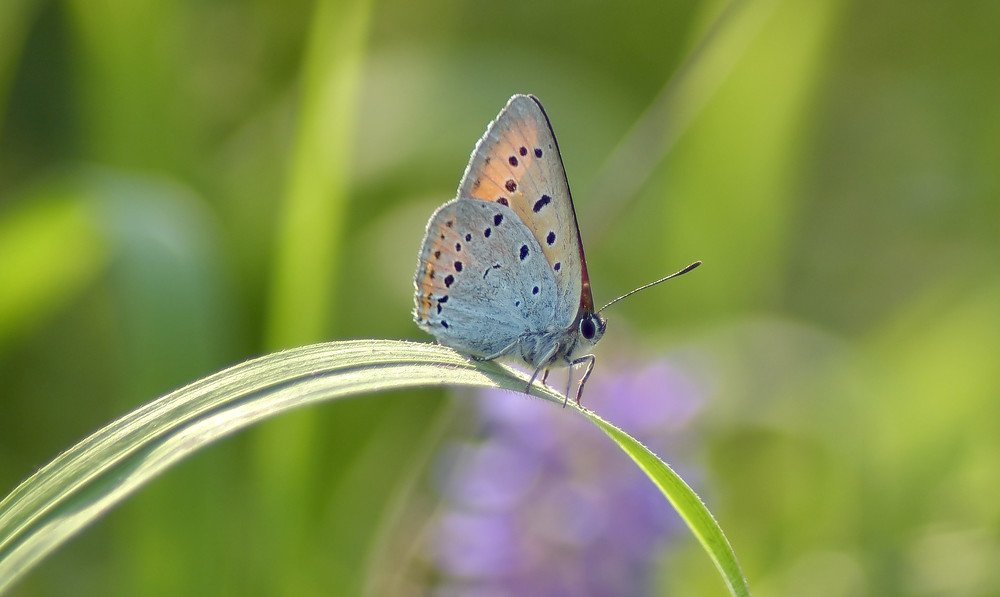 Photograph by Александр Кочуркин
