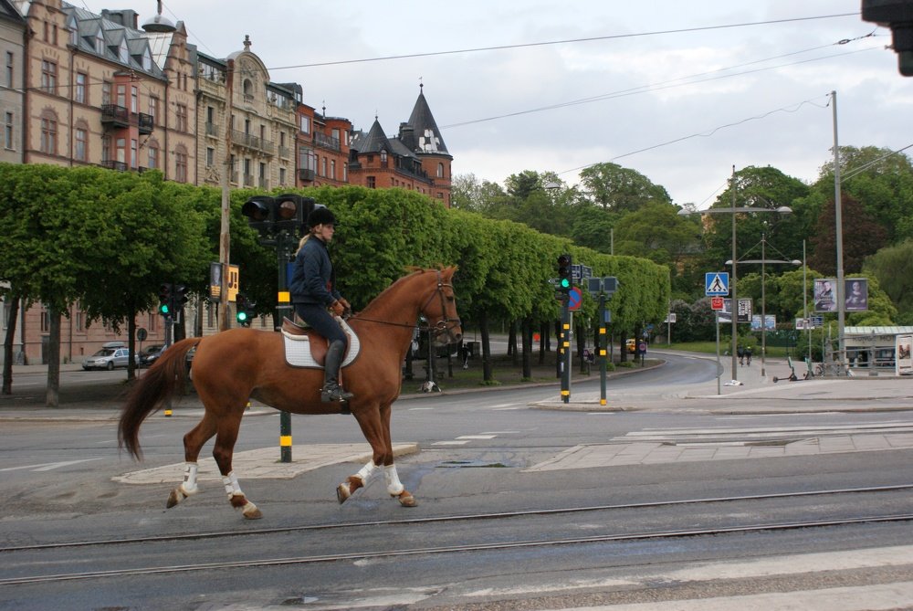 Photograph by Magdalena Wysztygiel