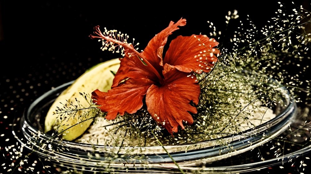 Фотография автора savitri Rawat