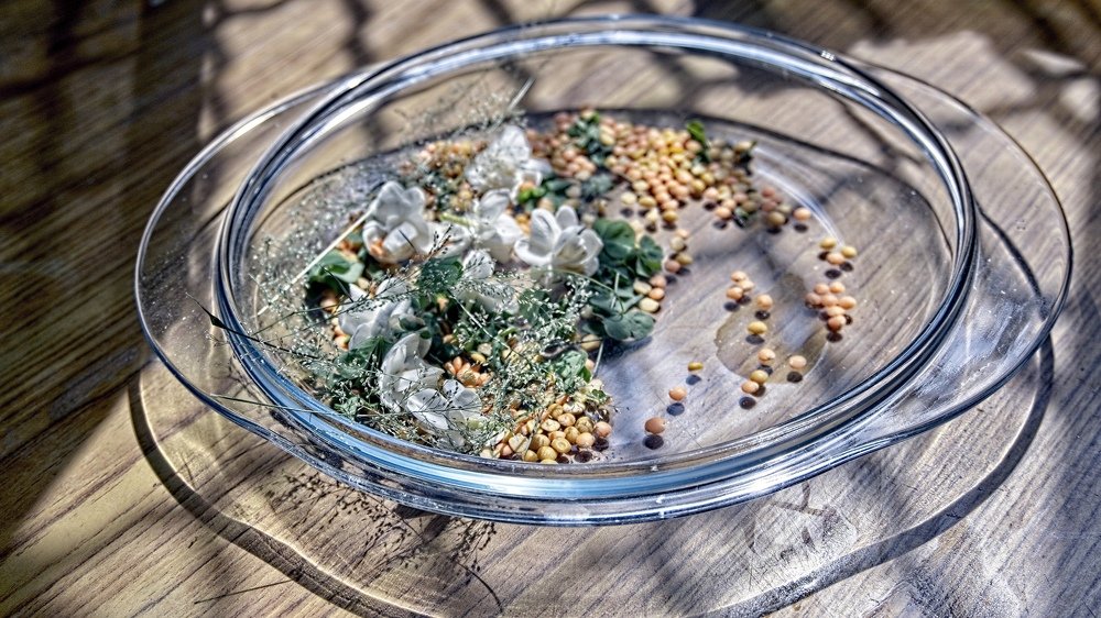 Фотография автора savitri Rawat