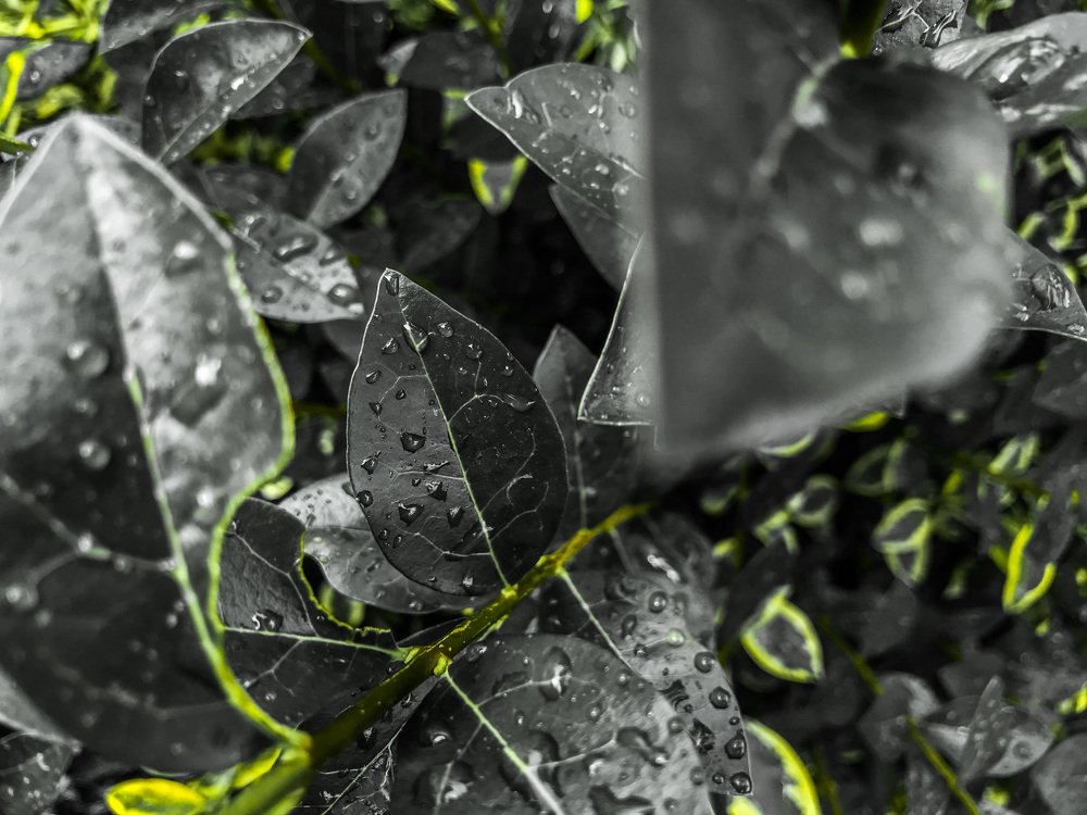 Photograph by Owoseni Peace