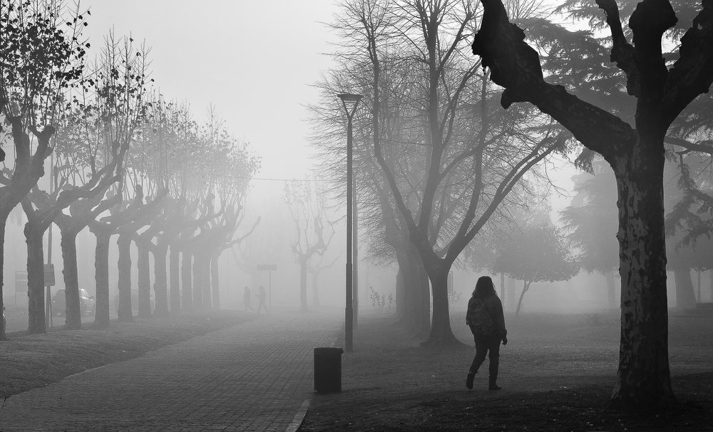 Caminante