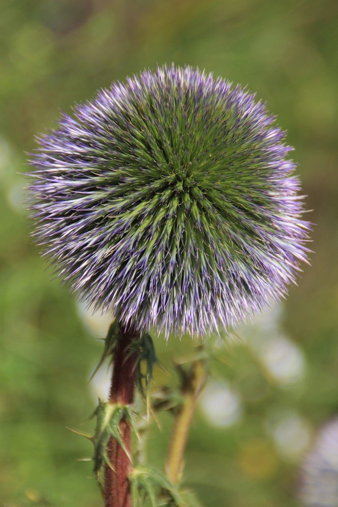 Photograph by Людмила Бутова