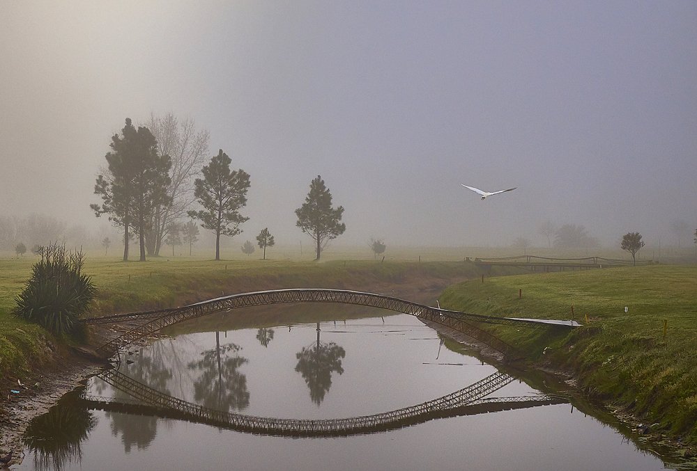 Levantando vuelo