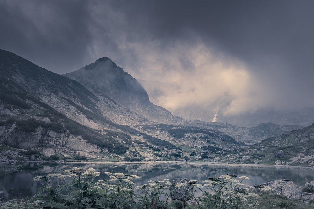 Photograph by Venelin Dimitrov