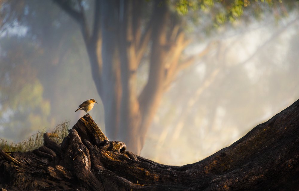 Photograph by Fernando Valdez