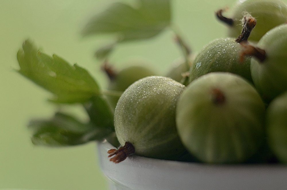 Photograph by Аликина Татьяна