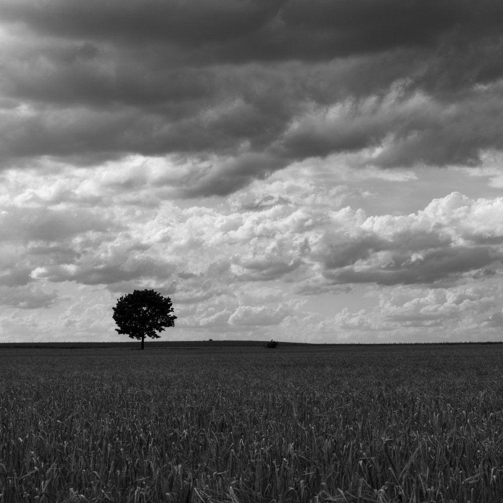 Photograph by Artem Yeltsov