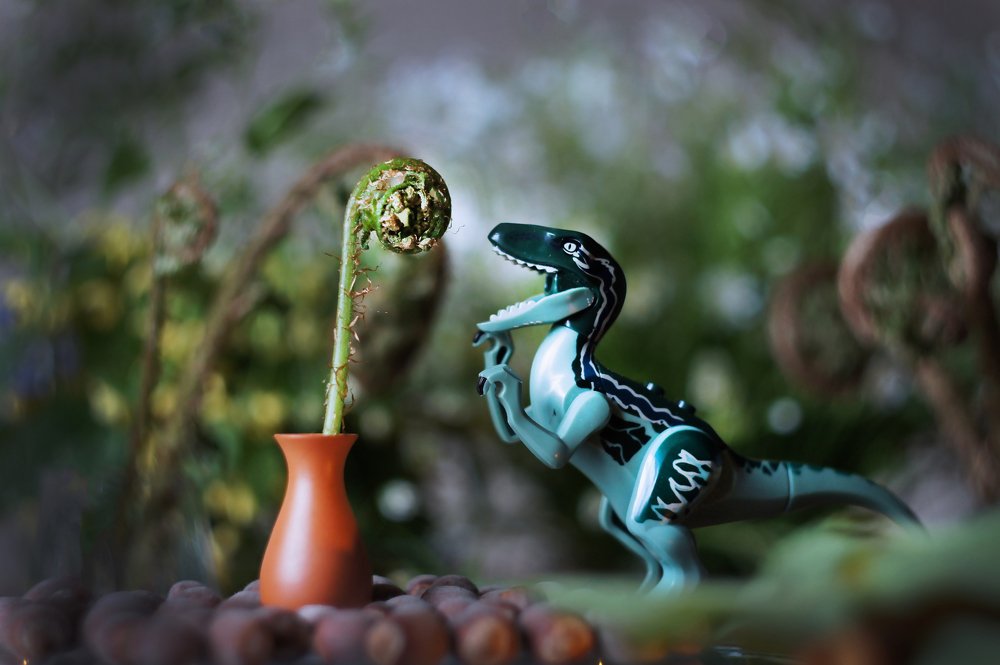 Photograph by Мария Загоревская