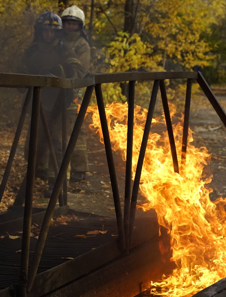 укрощение дракона