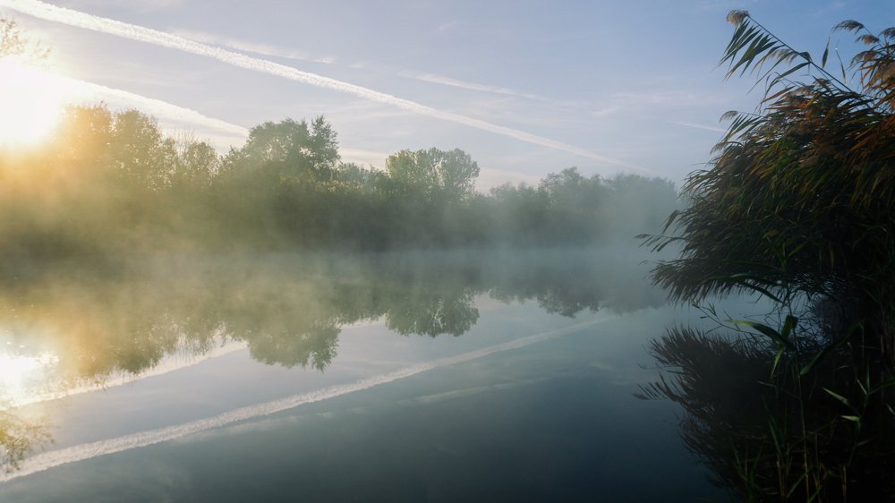 Photograph by Виталий Павлов