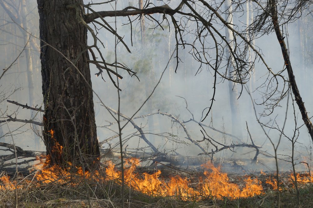 Photograph by Michail Shneider