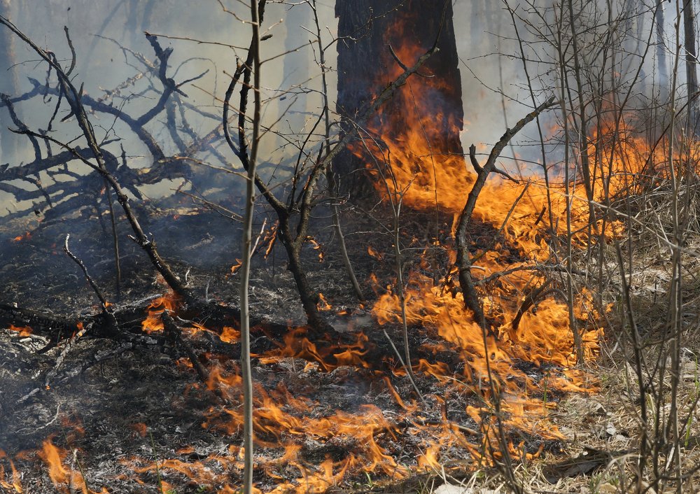 Photograph by Michail Shneider