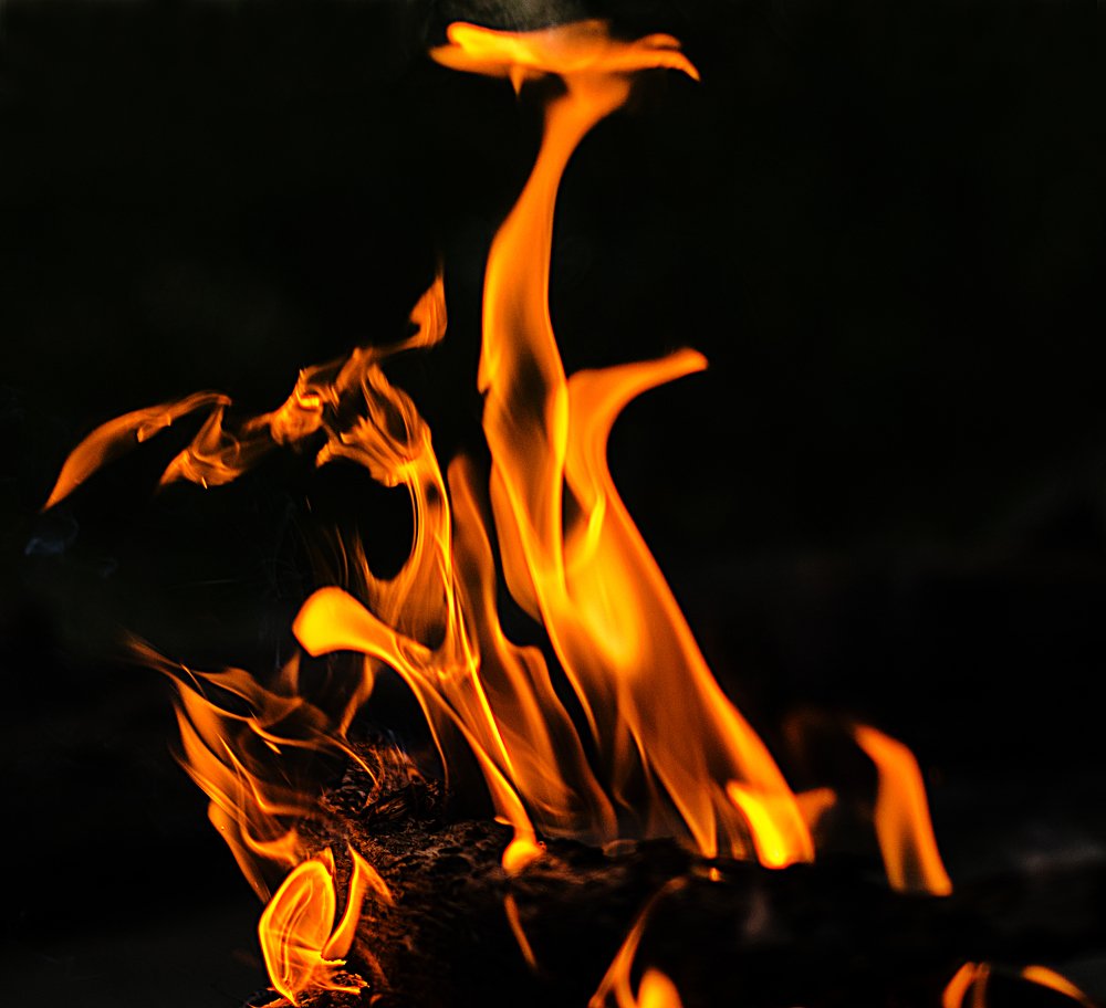 Photograph by Виталий Павлов