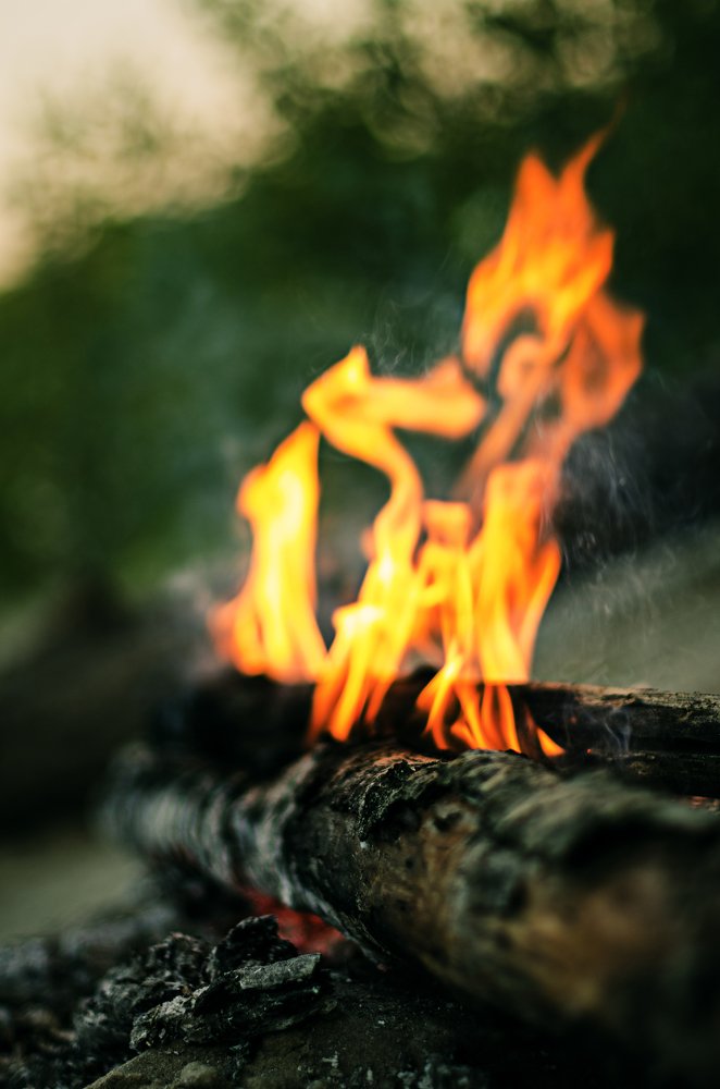 Photograph by Виталий Павлов