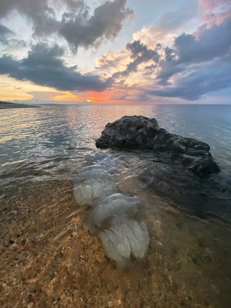 Морские монстры на закате