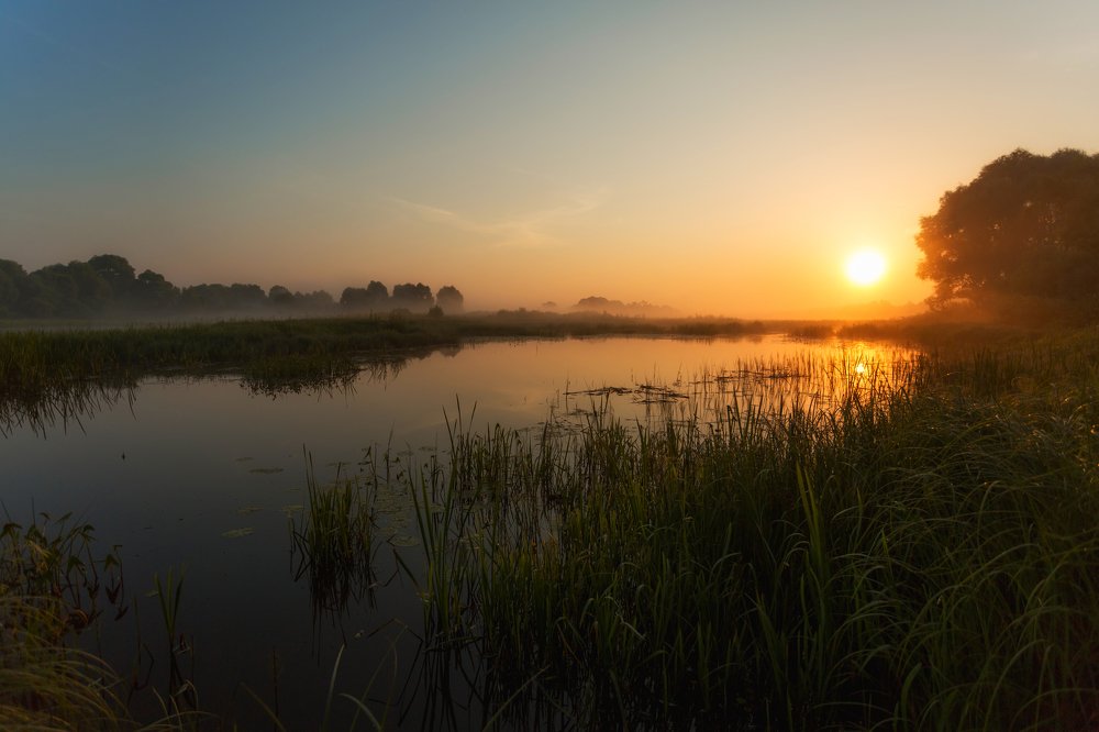 Фотография автора Ангелина Косова