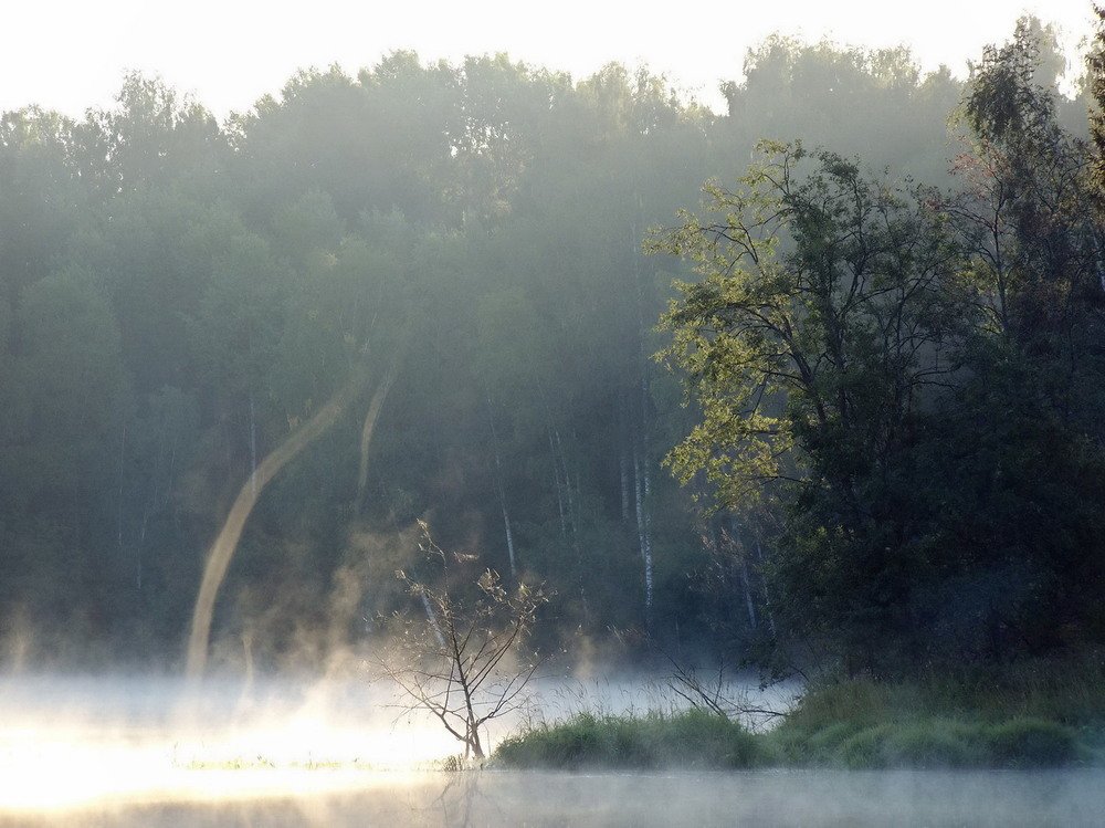 Туманное торнадо