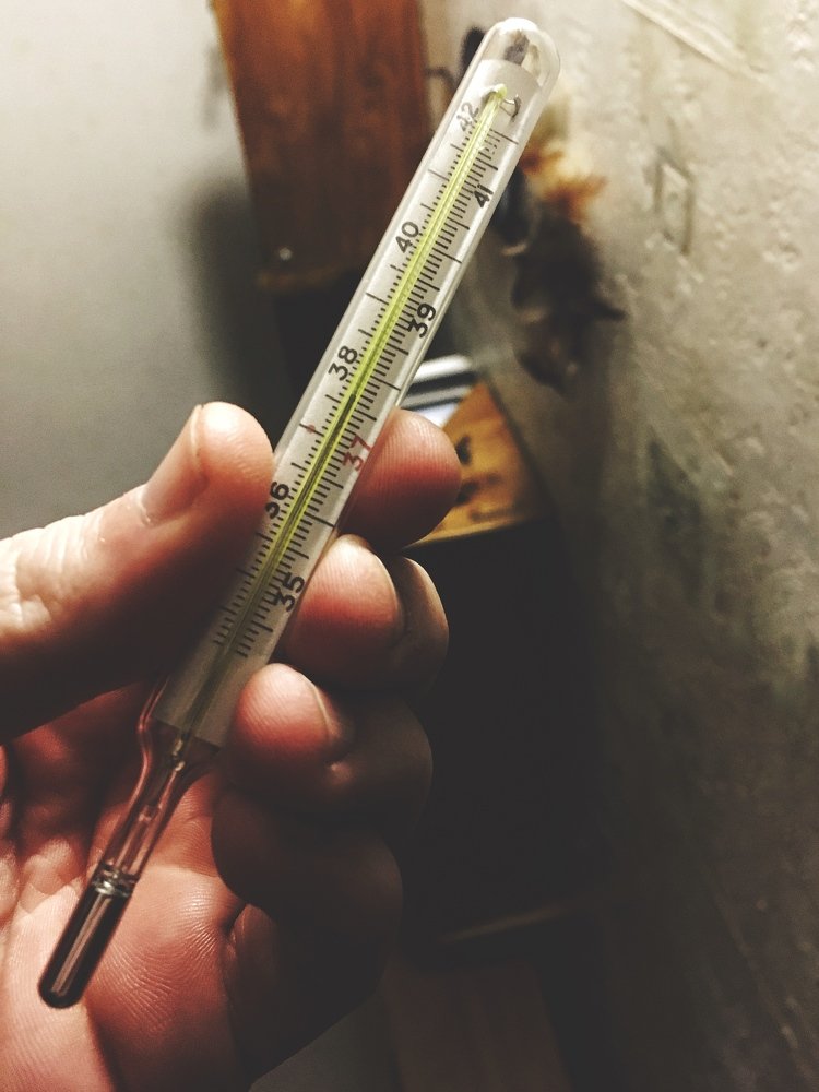 Фотография автора Артемий Николаевич