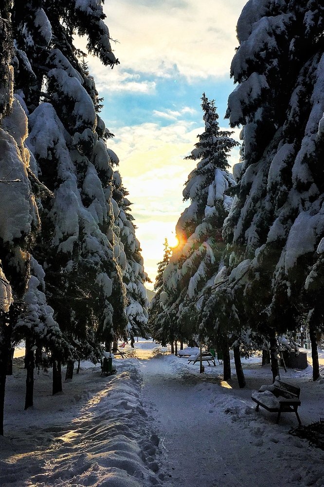 Фотография автора Артемий Николаевич