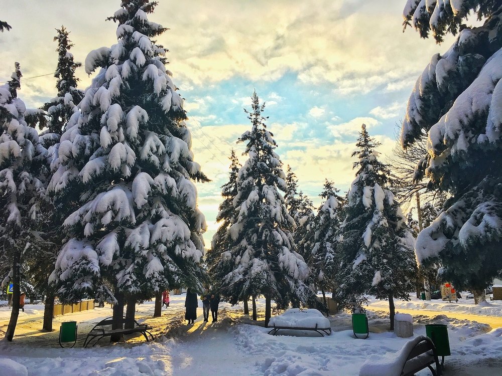 Фотография автора Артемий Николаевич