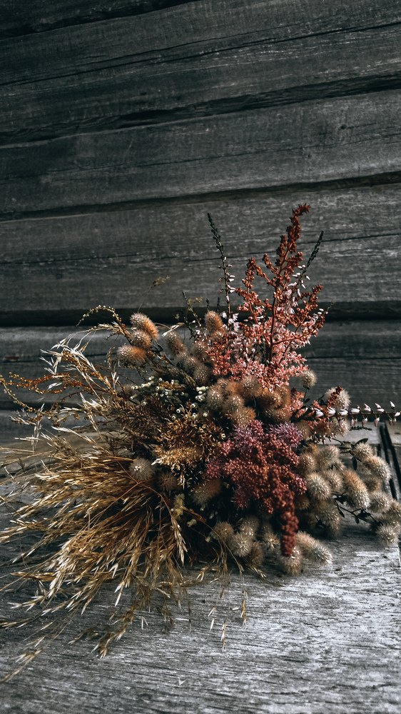 Photograph by Ольга Маркина