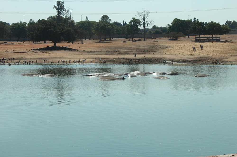 Фотография автора Богдан Кандауров