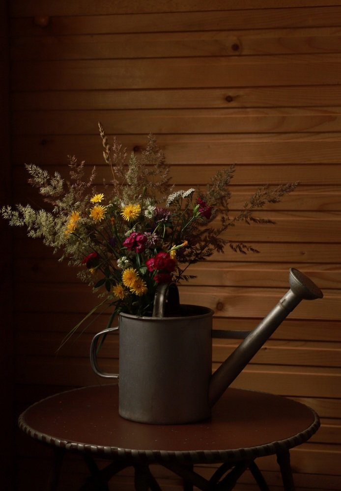 Моменты лета