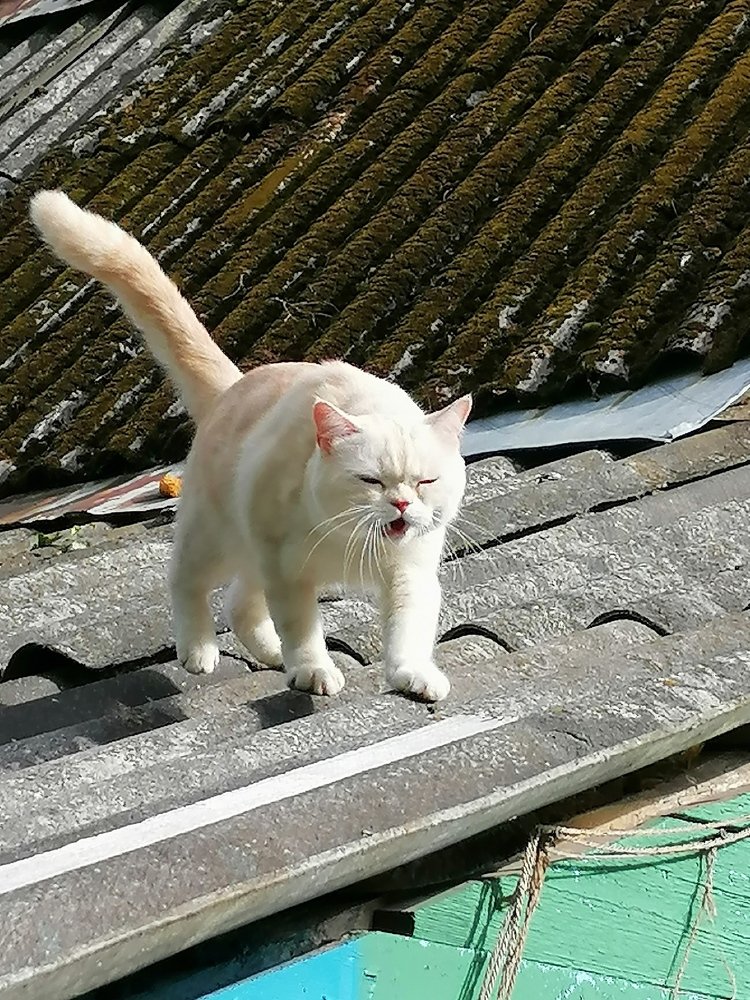 Photograph by Светлана Замятина