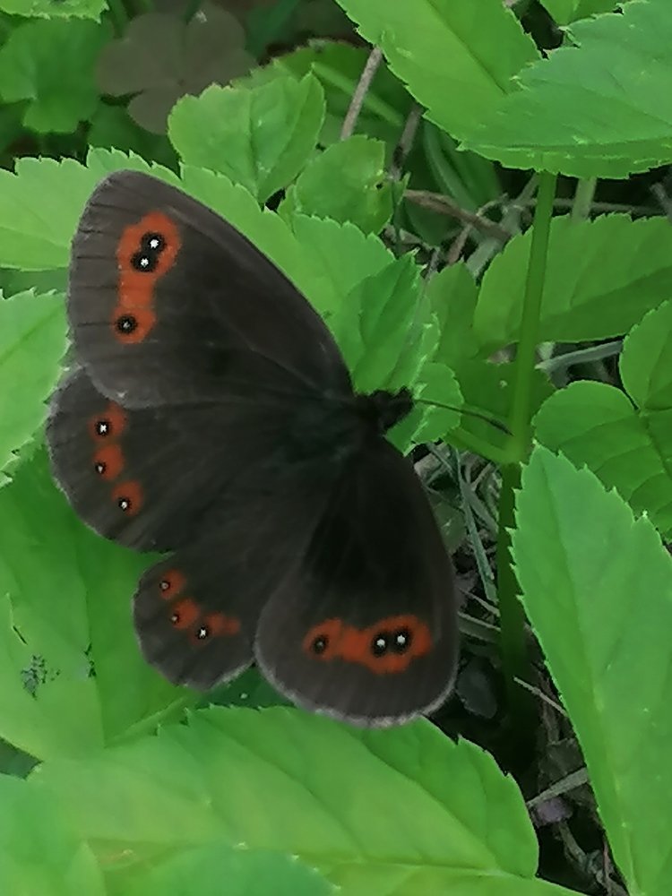 Photograph by Светлана Замятина