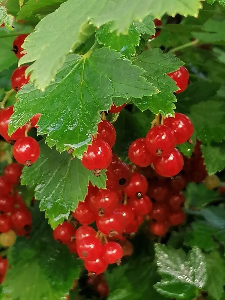 Photograph by Светлана Замятина