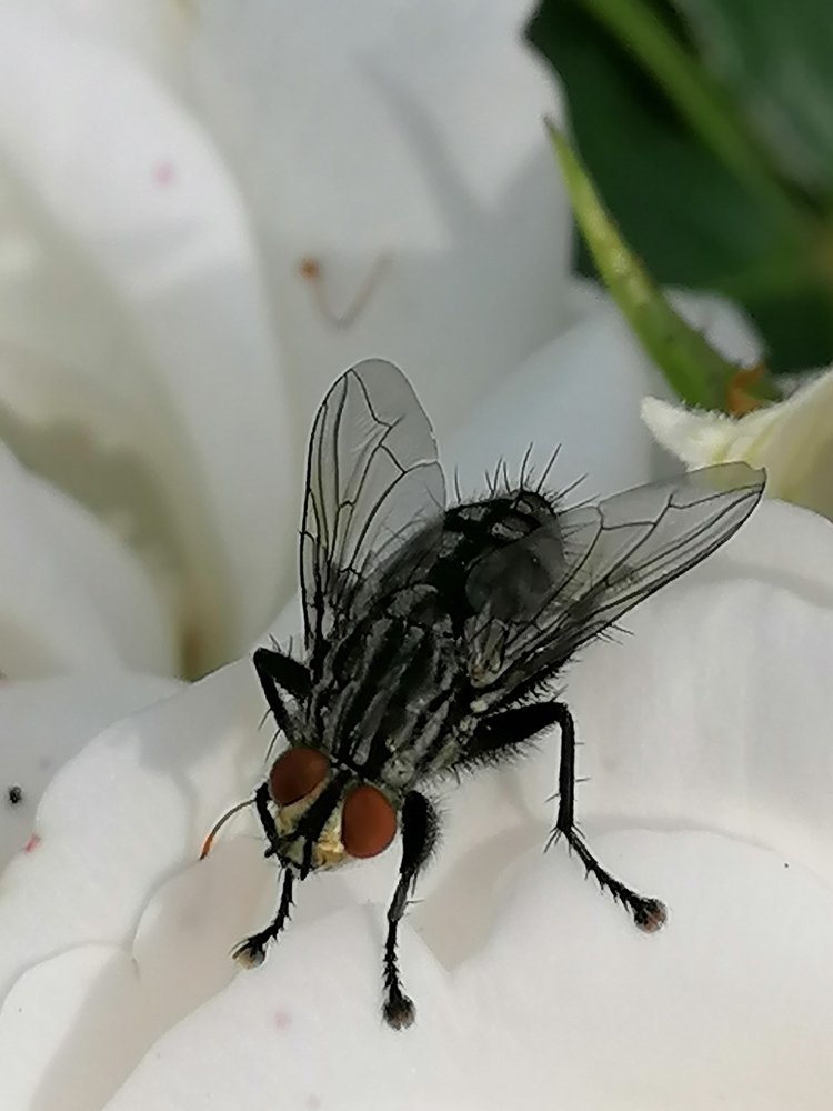 Photograph by Светлана Замятина