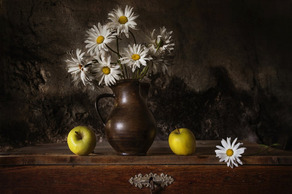 Photograph by Jelena Potrebic