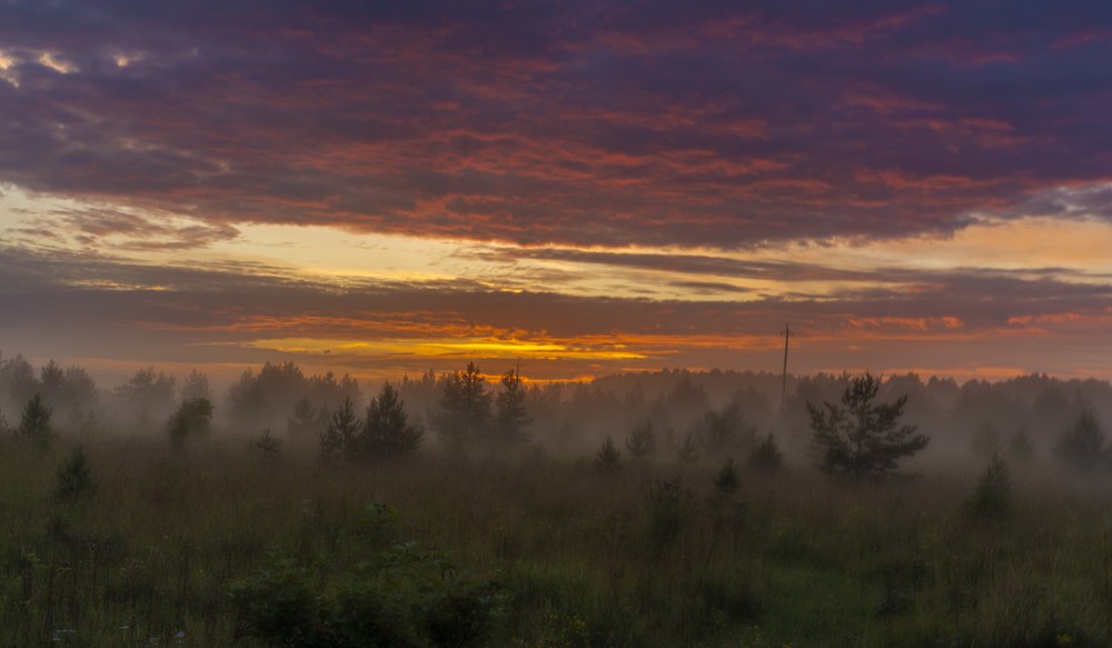 Photograph by Susanna Kari